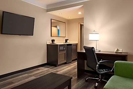 One-Bedroom Deluxe King Suite - Non-Smoking