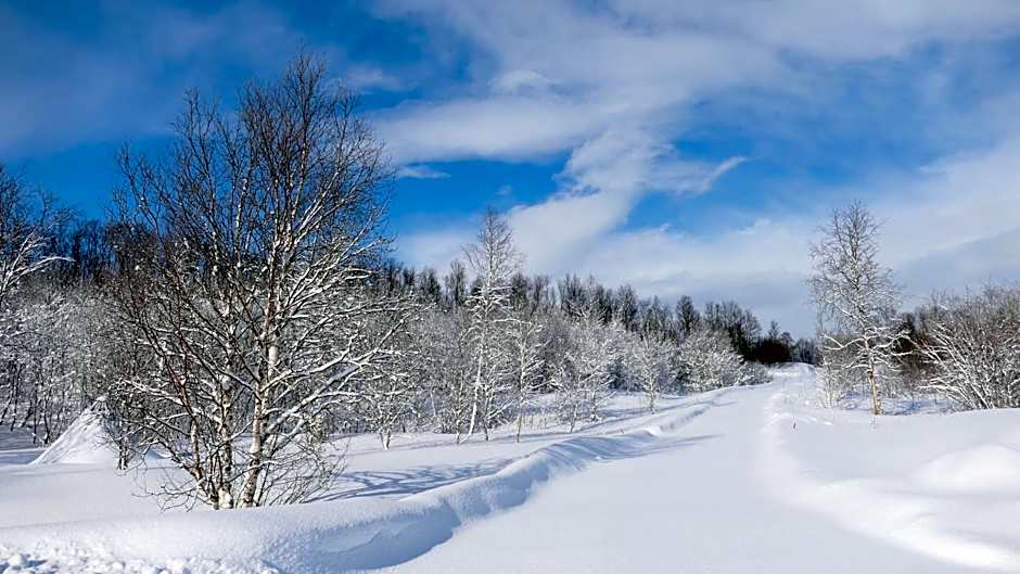 Wild Caribou's Wildwood Cabin