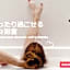 Restay Choshi Aine (Adult Only)