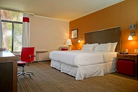 Suite with living area, 1 Bedroom 2 room Suite, 1 King