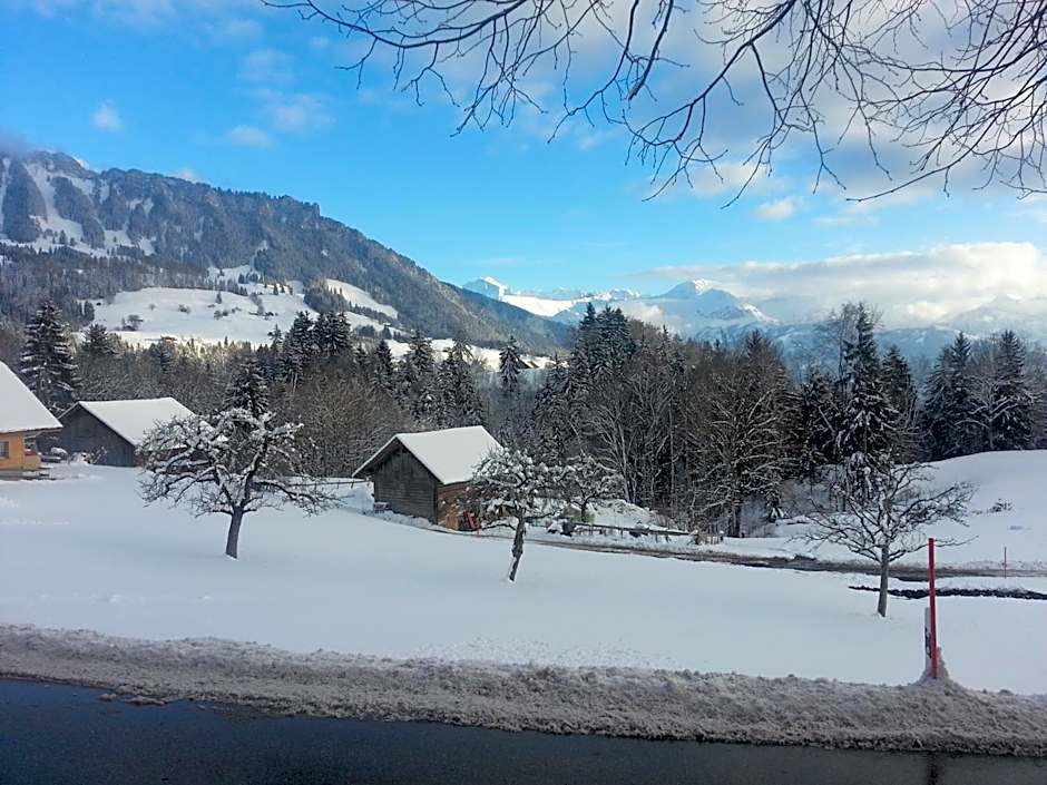 Hotel Rothorn Vintage-Style