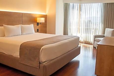 1 King Bed, Suite, Nonsmoking