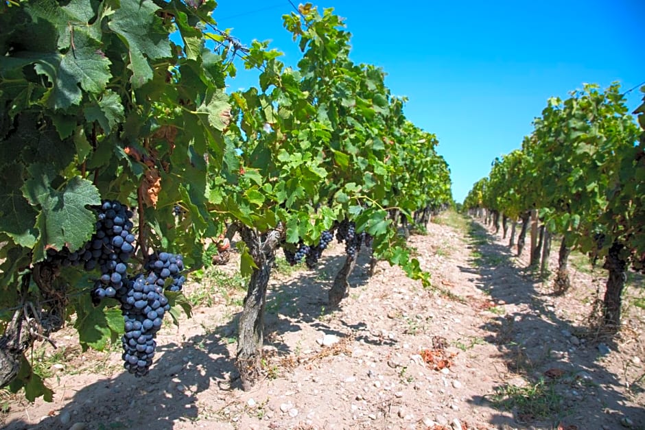 Wine Hôte Chambre d'hôtes