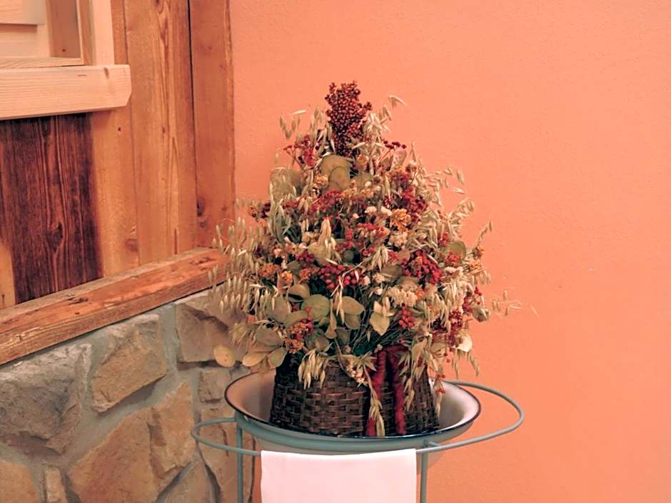 Hotel Pensione Dolomiti