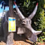 All Seasons Holiday Park