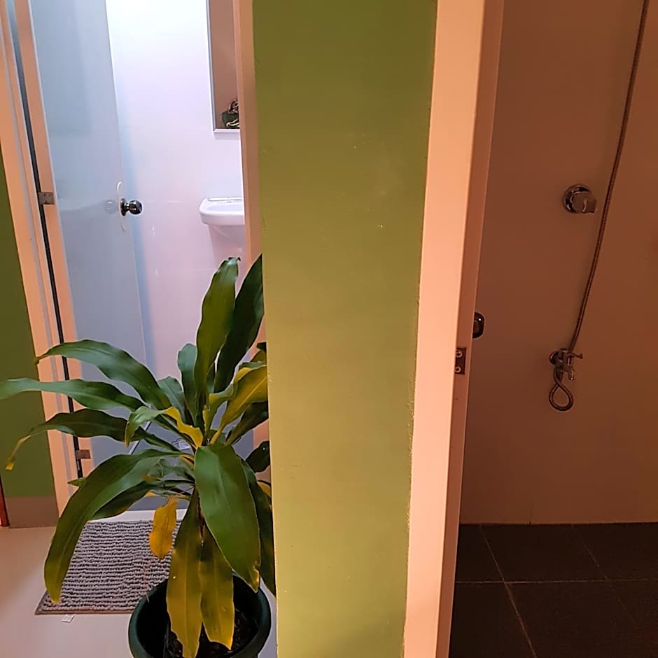 Green Turtle Backpackers Guesthouse, Puerto Princesa