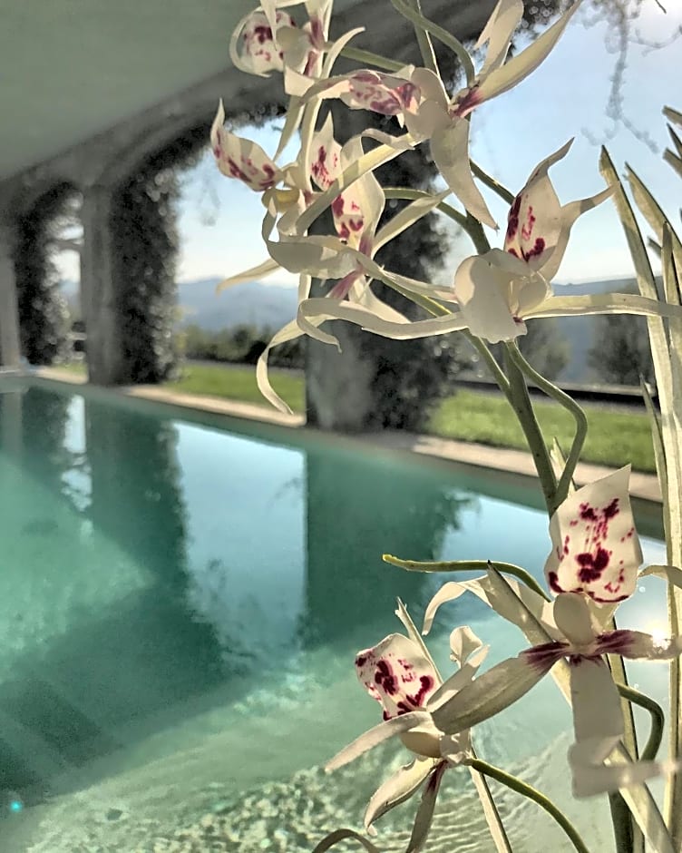 Il Sassoscritto Bed and Breakfast