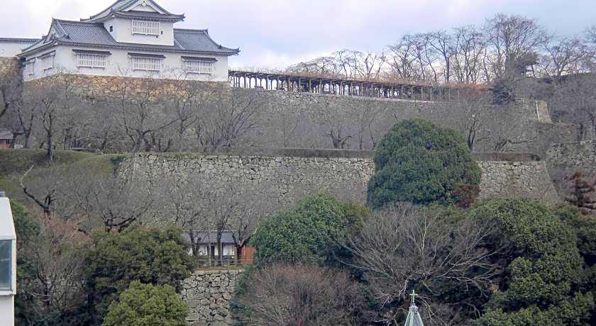 Tsuyama Central Hotel Townhouse