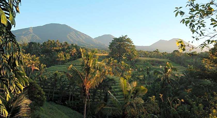 Saridevi Ecolodge