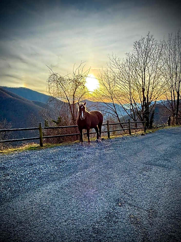 Viandanti, Artisti e Sognatori