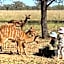 Kigeni Safari Lodge & Spa