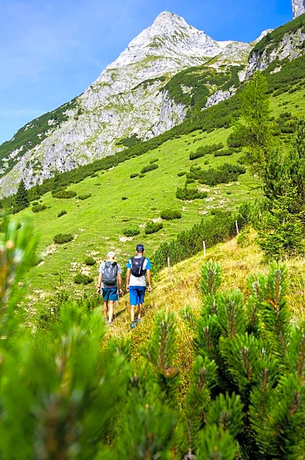 Apart Hotel Alpenhof Werfenweng