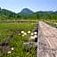 Shiga Palace Hotel - Vacation STAY 22531v