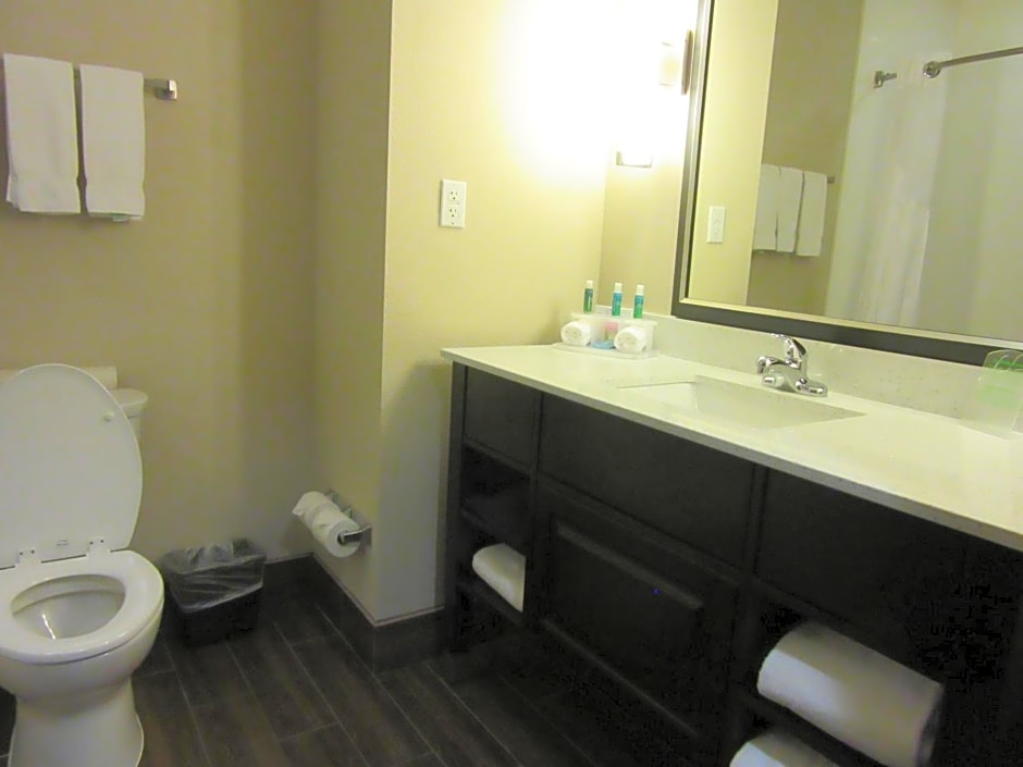 Holiday Inn Express Wichita South