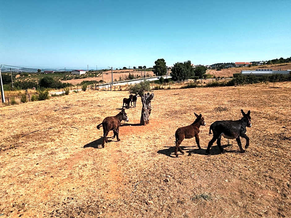Hotel Rural Sra De Pereiras