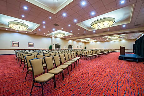 1 King Studio Suite Court View

