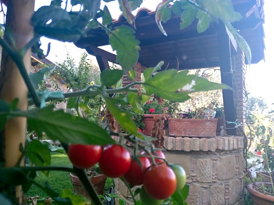 Agriturismo L'Uliveto