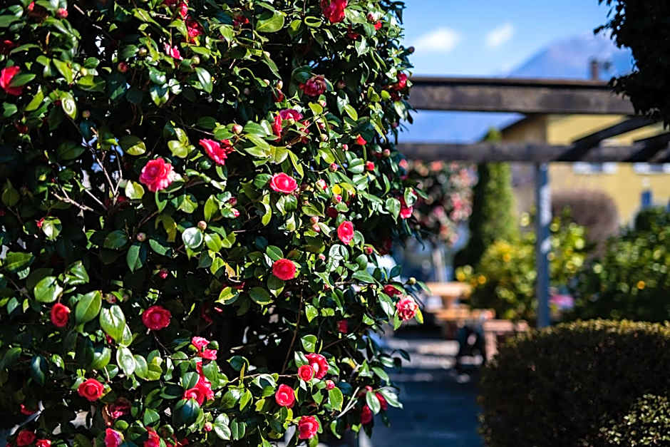 Ascona Lodge, Pool & Garden Retreat