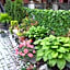 A Hidden Gem Bed and Breakfast