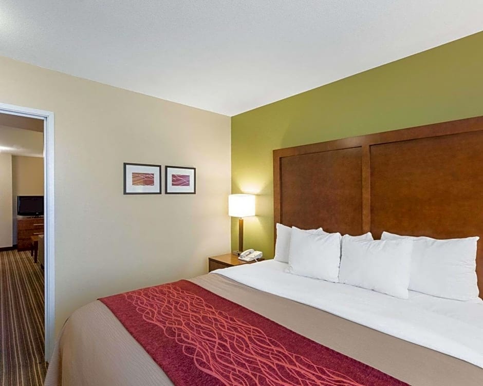 Comfort Inn & Suites Fayetteville-University Area