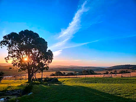 Lush Pastures