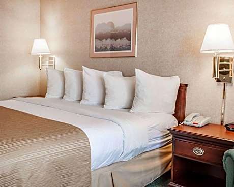 1 King Bed, Nonsmoking