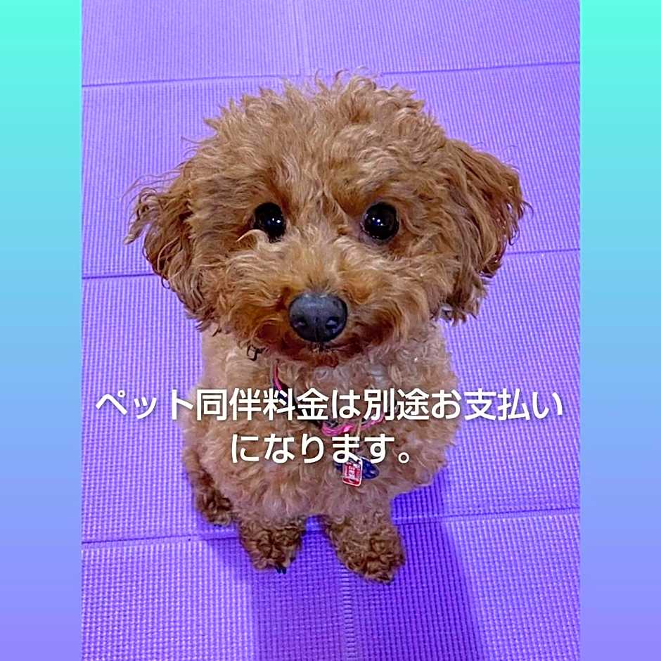 コインズホステル天神ペット宿泊可