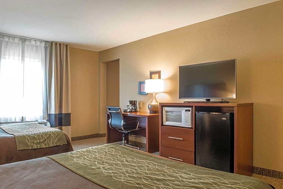 Comfort Inn Edinburg South