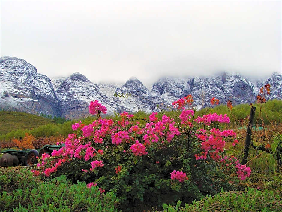 Vredehoek Guest Farm