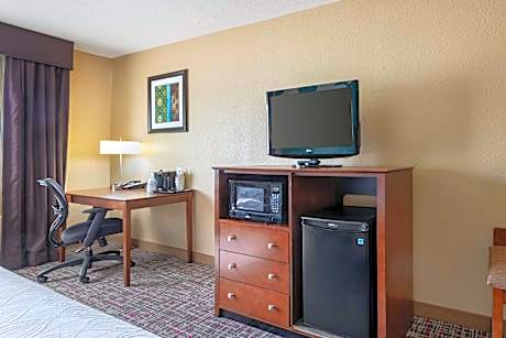 1 KING BED,NSMK,MICRFRG,COF MKR,HAIRDRYR,HI SPEED,FULL BREAKFAST