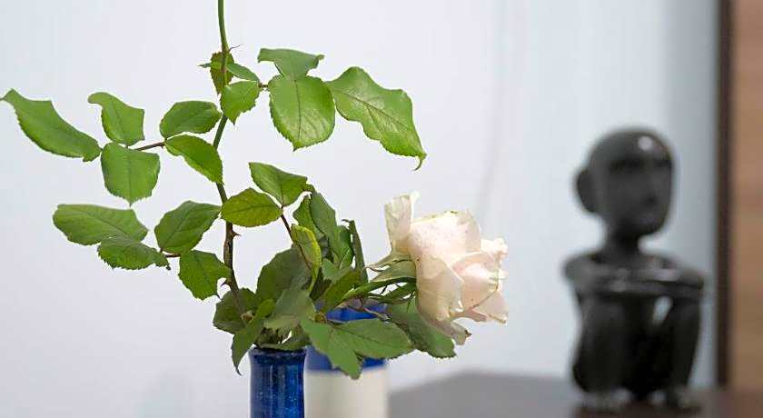 Dint'a Torre Bed and Breakfast