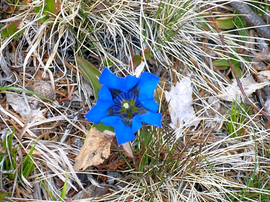 Locanda La Ruscoletta