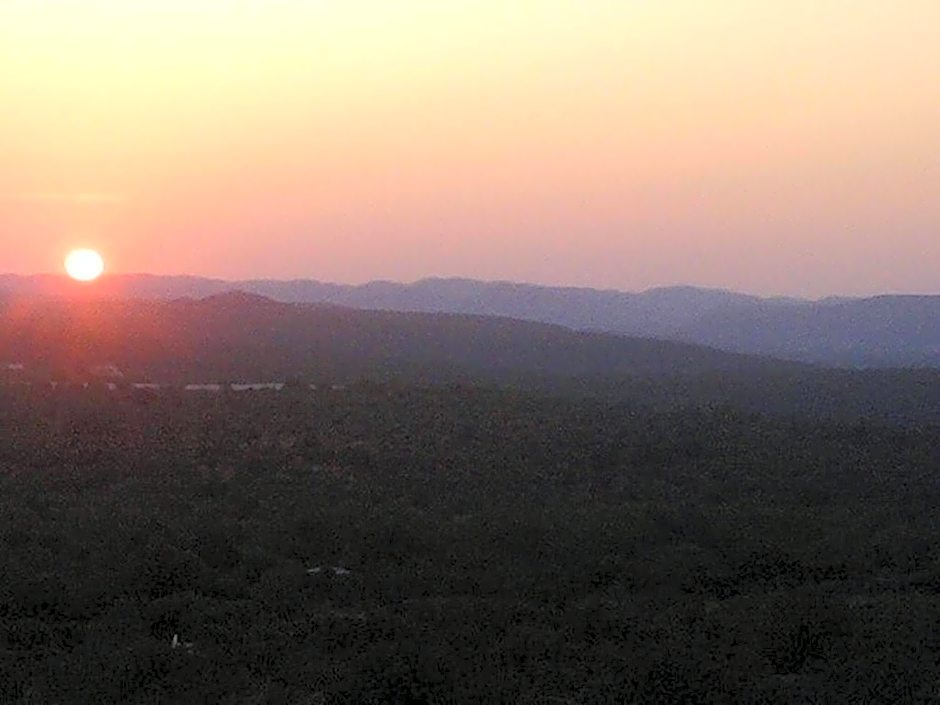 Casa Amoreira - Quinta Amoreira