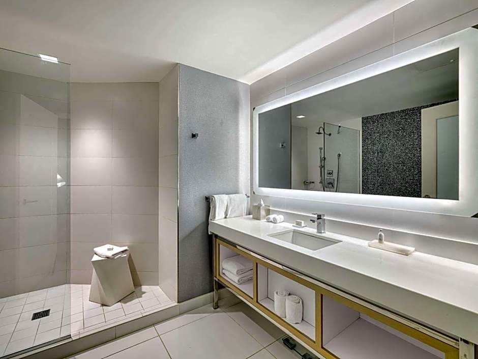 The Royal Sonesta Minneapolis Downtown