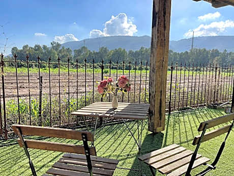 בוסתן החורש