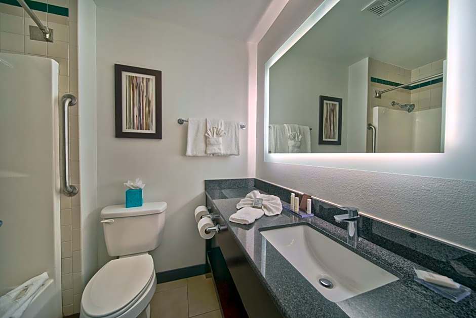 Wingate by Wyndham Round Rock Hotel & Conference Center