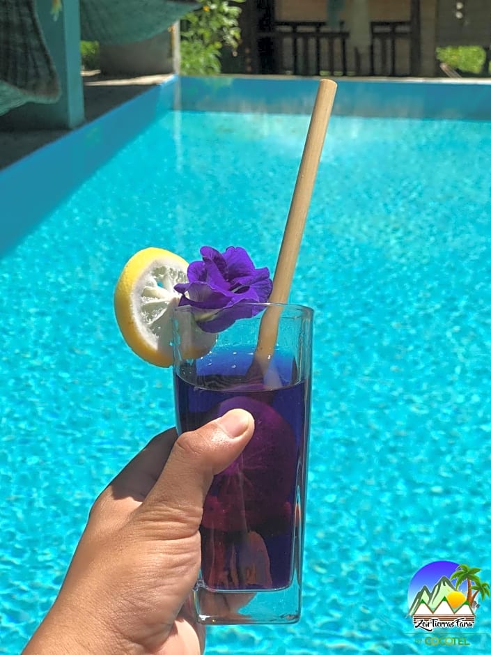 Zen Tierras Farm powered by Cocotel