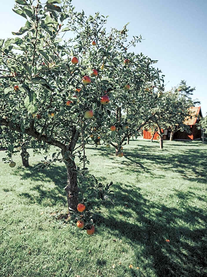 Ytterön skärgårdshotell