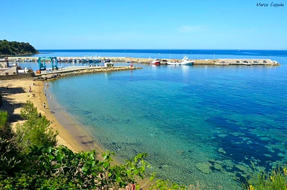 Quasi in Porto Rooms