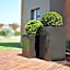 Regal Inn Hotel Midrand