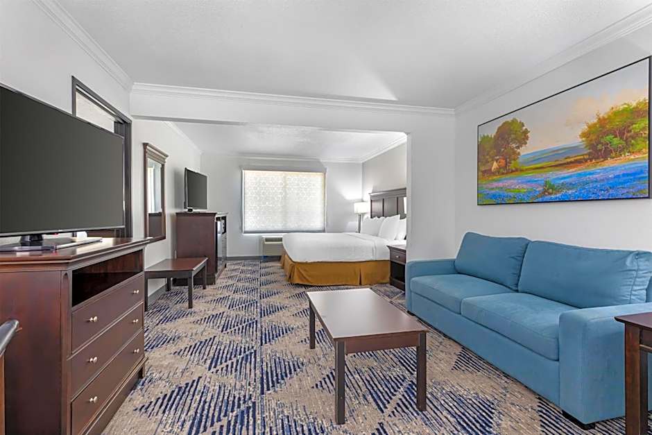 Best Western Plus Southpark Inn & Suites
