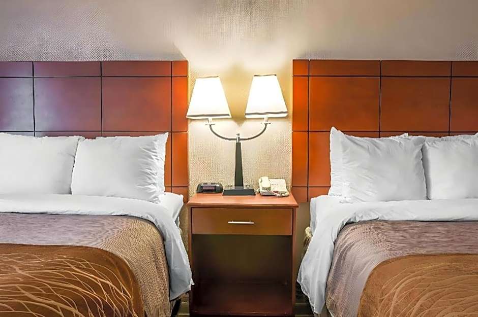 Comfort Inn & Suites University South