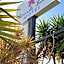 Pottsville Beach Motel