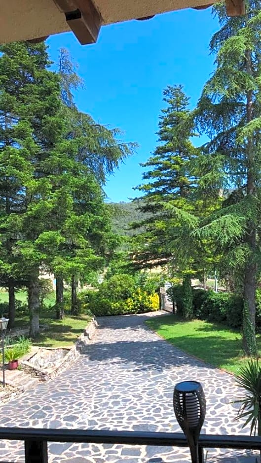 Els Avets de la Muga