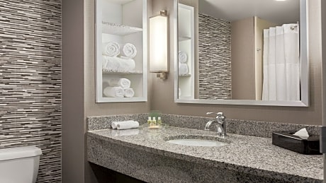 1 King Bed Standard Comm Accessible Tub