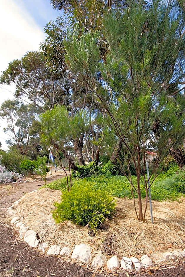 Cape Jervis Holiday Units