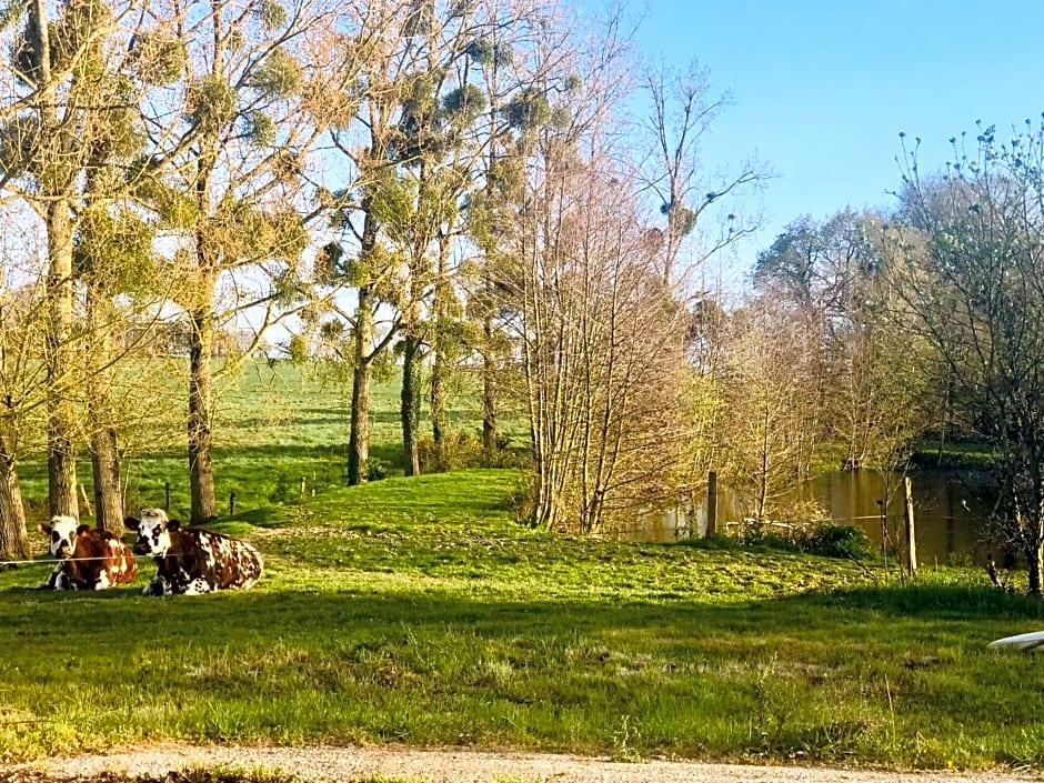 Au petit bonheur de Claire et Jo
