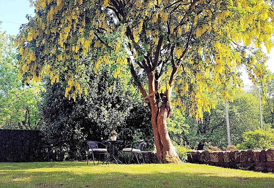 The Beehive Guest House