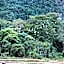 Mai Chau Villas
