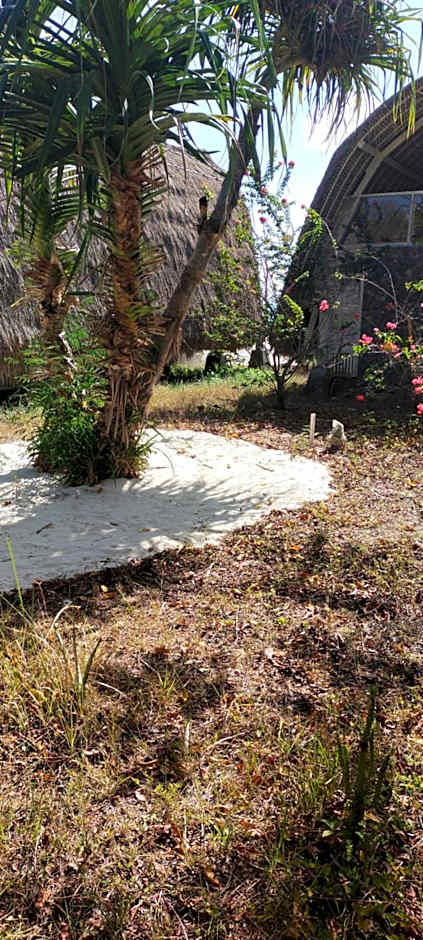 Alam Karang